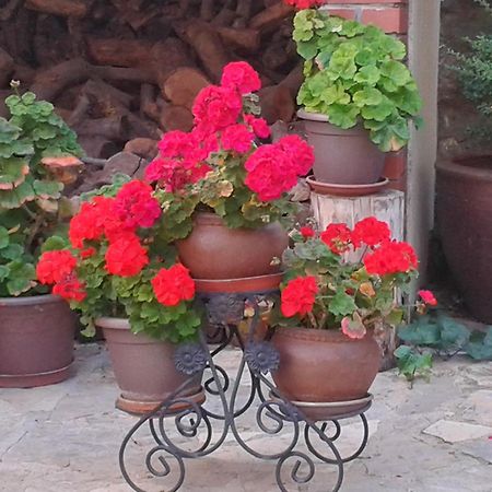 La Posada De Clotilde Cella Zewnętrze zdjęcie